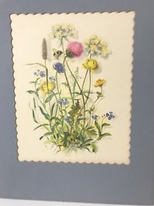 225x300 Wildflower Watercolor Botanical Prints Ebay