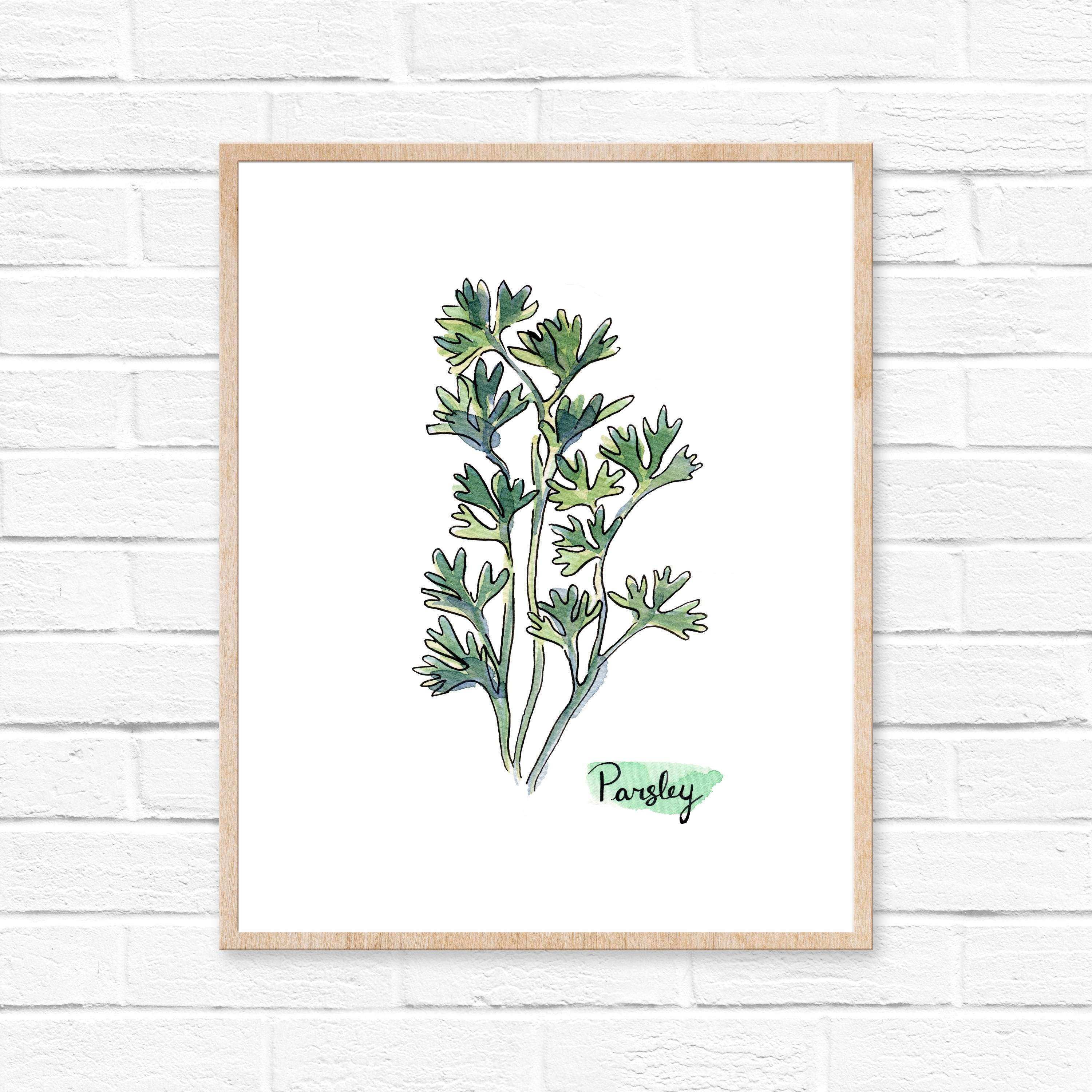 3000x3000 Botanical Prints Wall Art Inspirational Watercolor Herb Print Set