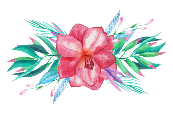 600x400 Tropical Watercolor Bouquet 5 Adult Pull Over Hoodie For Sale By