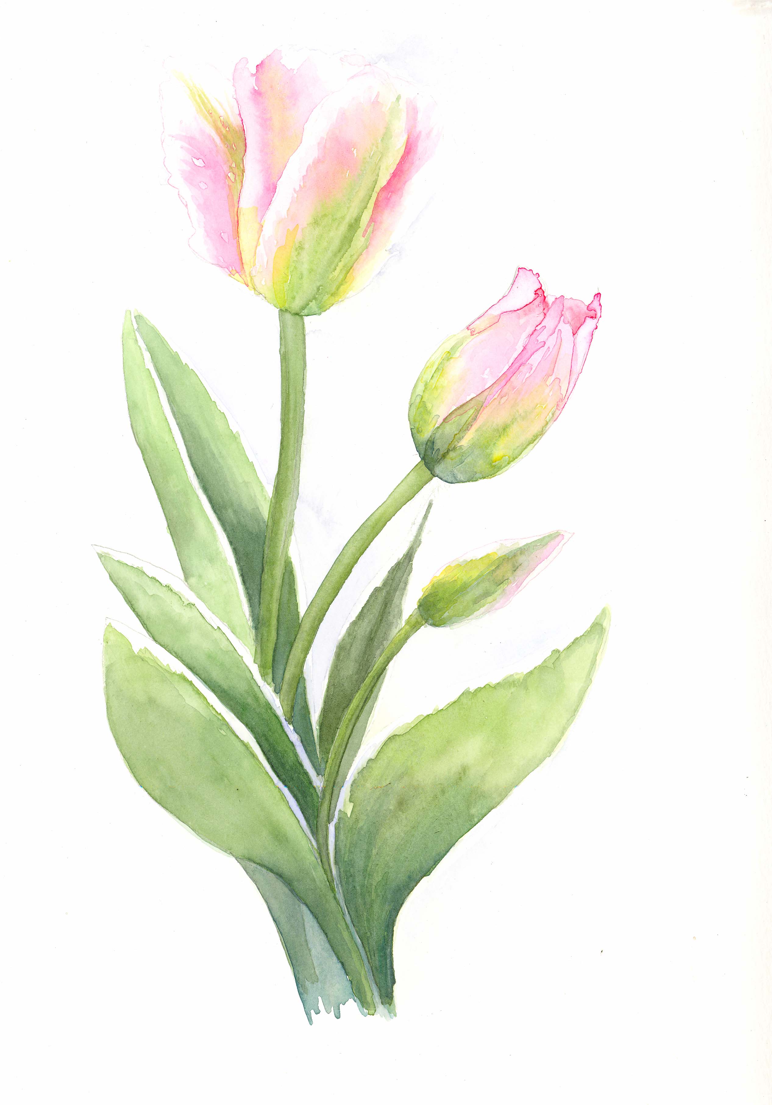 2533x3624 Watercolor Wedding Bouquet By Jane May Jones