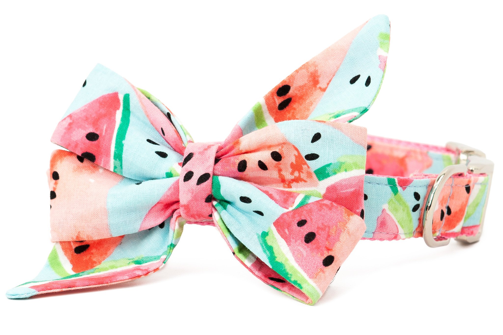 2048x1365 Crew Watercolor Watermelon Belle Bow Dog Collar
