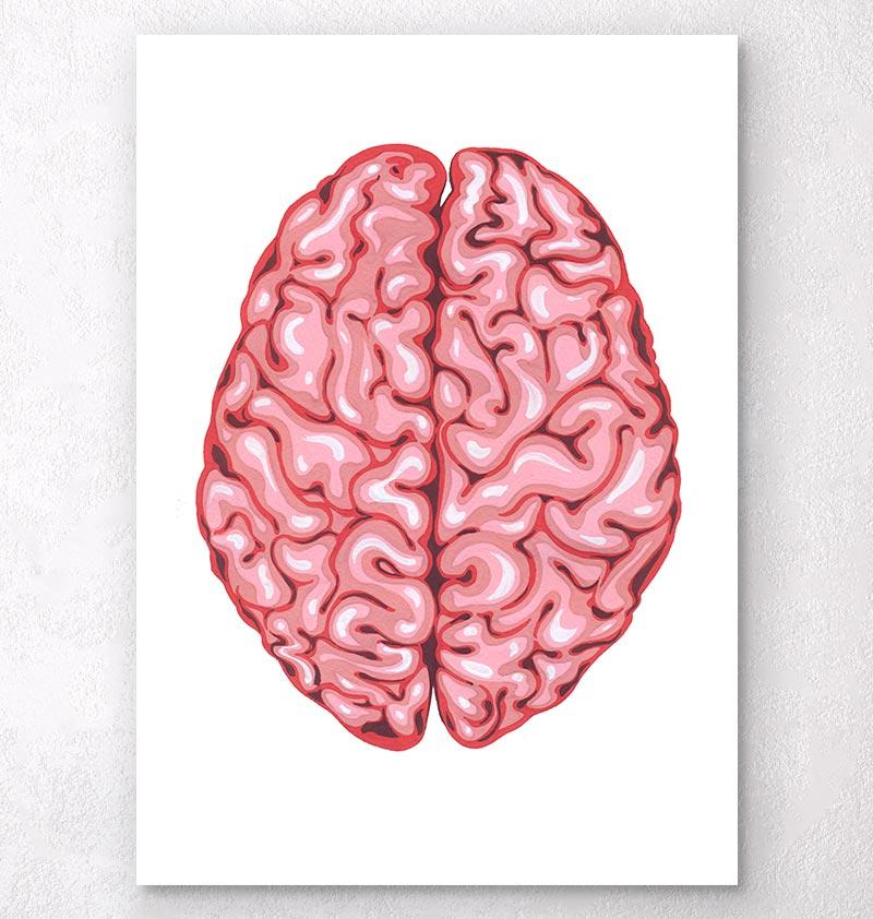 800x842 Funky Watercolor Brain Anatomy Art Print