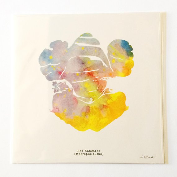 570x570 Red Kangaroo Watercolor Brain Print 12 X 12