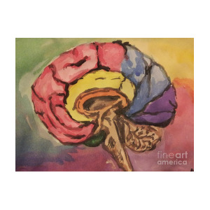 300x300 Watercolor Brain Painting By Sara Markwith Padgett