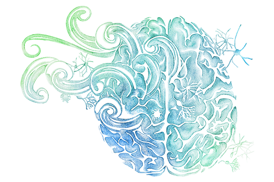 560x373 S Y M P O S I