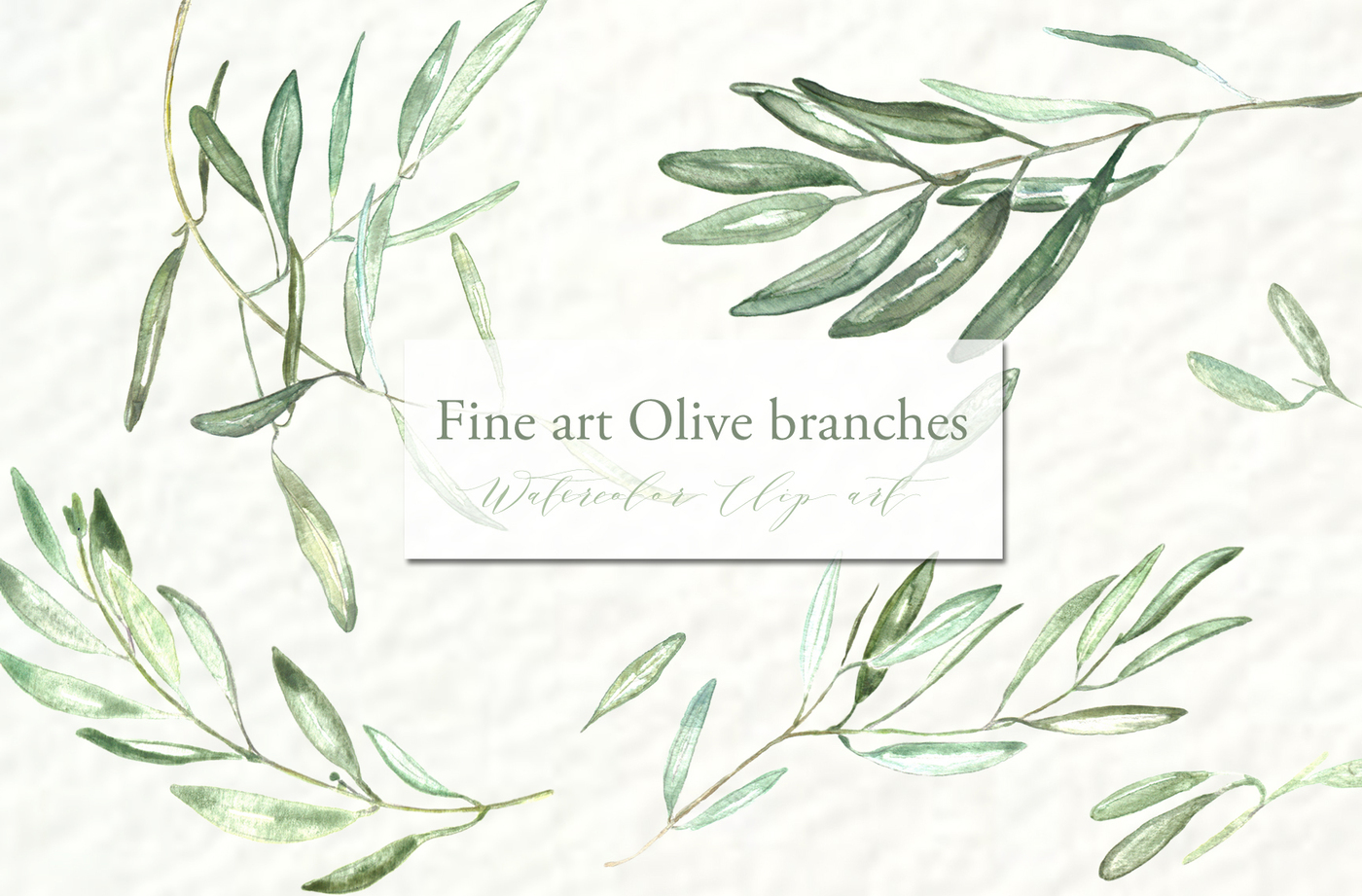 1400x921 Olive Branches. Watercolor Clipart. By Labfcreations