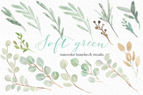 570x379 Soft Green Branches And Wreaths Watercolor Clipart Hand Etsy