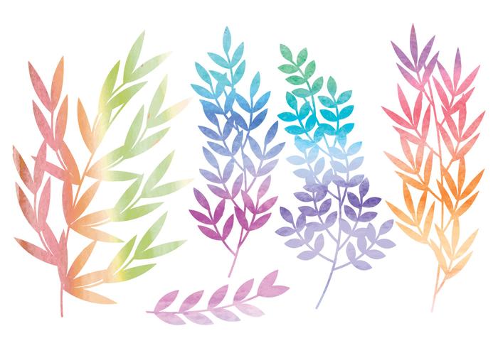 700x490 Vector Watercolor Branches And Floral Set