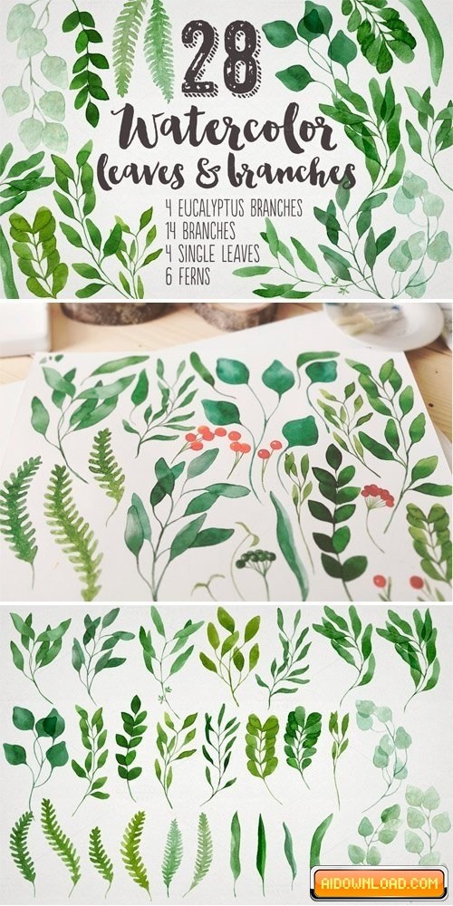 500x1000 28 Watercolor Branches And Leaves Free Download Free Graphic