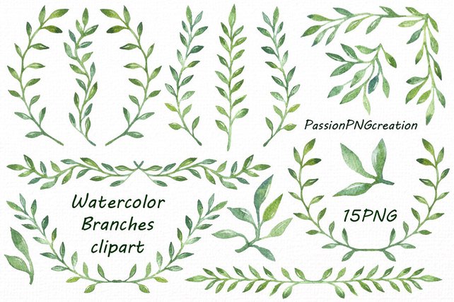 642x427 Watercolor Branches Clipart Watercolor Leaves Clipart Png Etsy