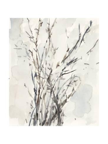 366x488 Watercolor Branches I Premium Giclee Print By Samuel Dixon