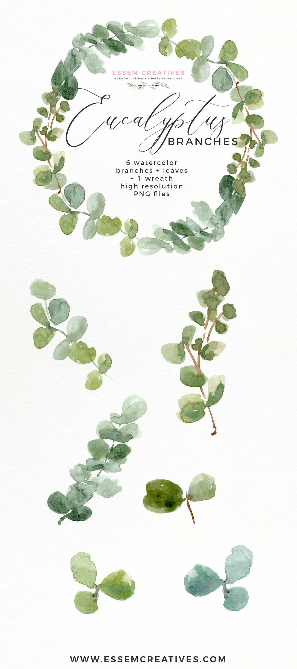 1024x2300 Watercolor Eucalyptus Wreath Branches Clipart Png Essem Creatives