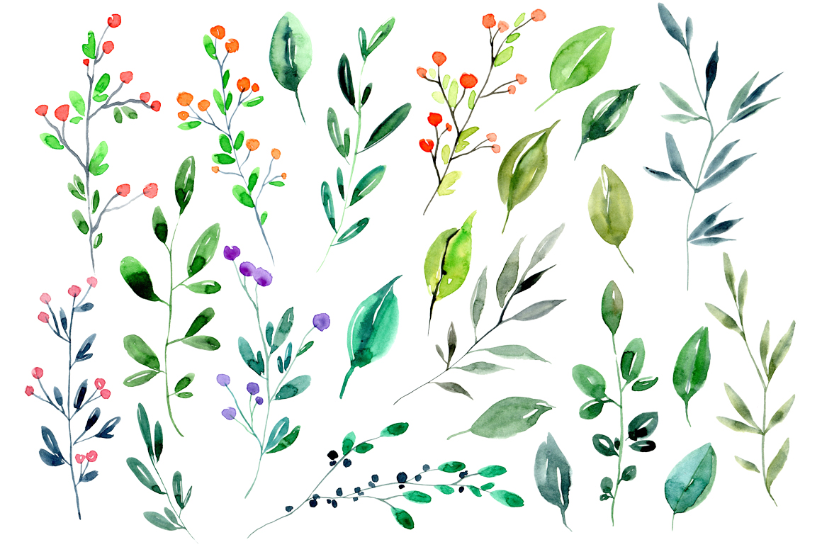 1160x772 Watercolor Branches Leaves Twigs Aquarelle Png Hand Painted