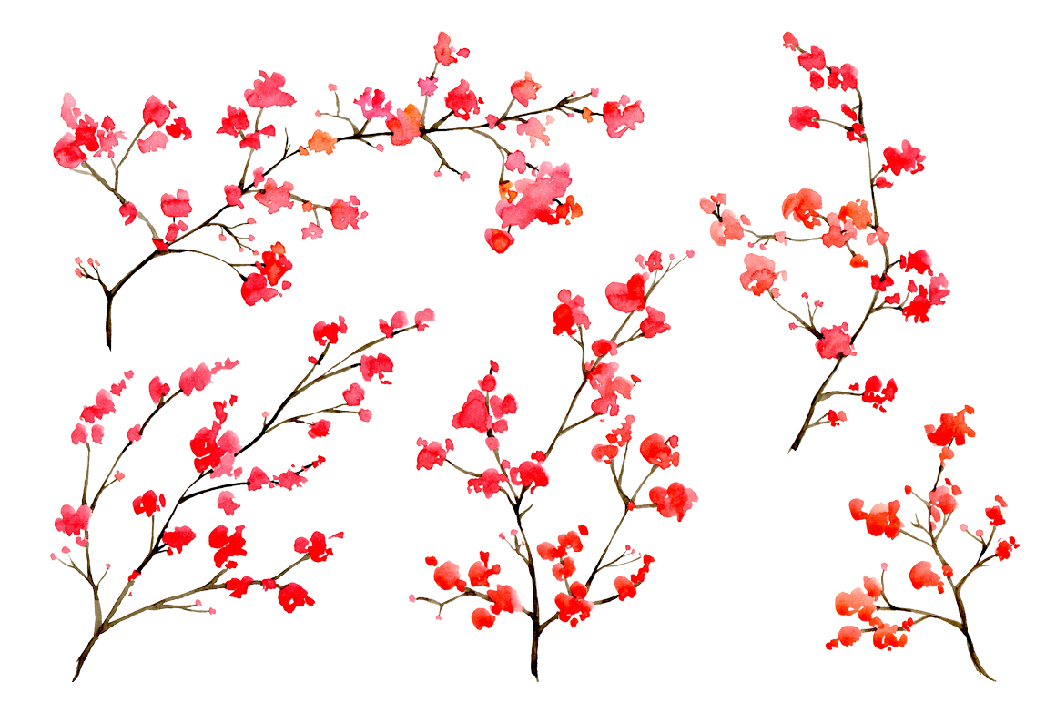 1160x772 Watercolor Floral Branches, 10 Png