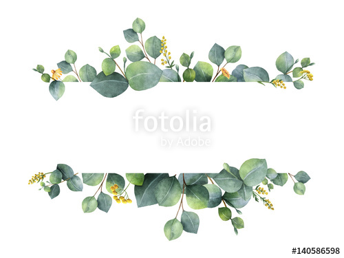 500x375 Watercolor Green Floral Banner With Silver Dollar Eucalyptus