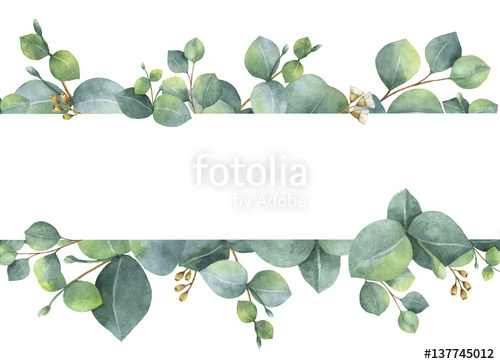 500x364 Watercolor Green Floral Card With Silver Dollar Eucalyptus Leaves