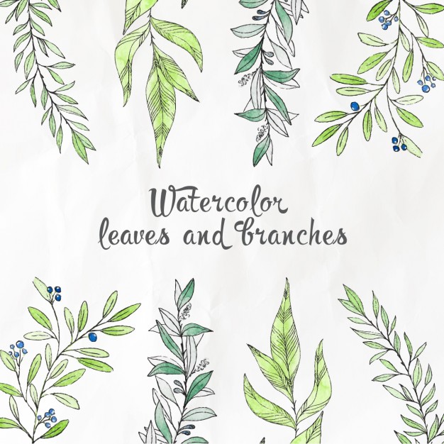 626x626 Watercolor Leaves And Branches Vector Free Download