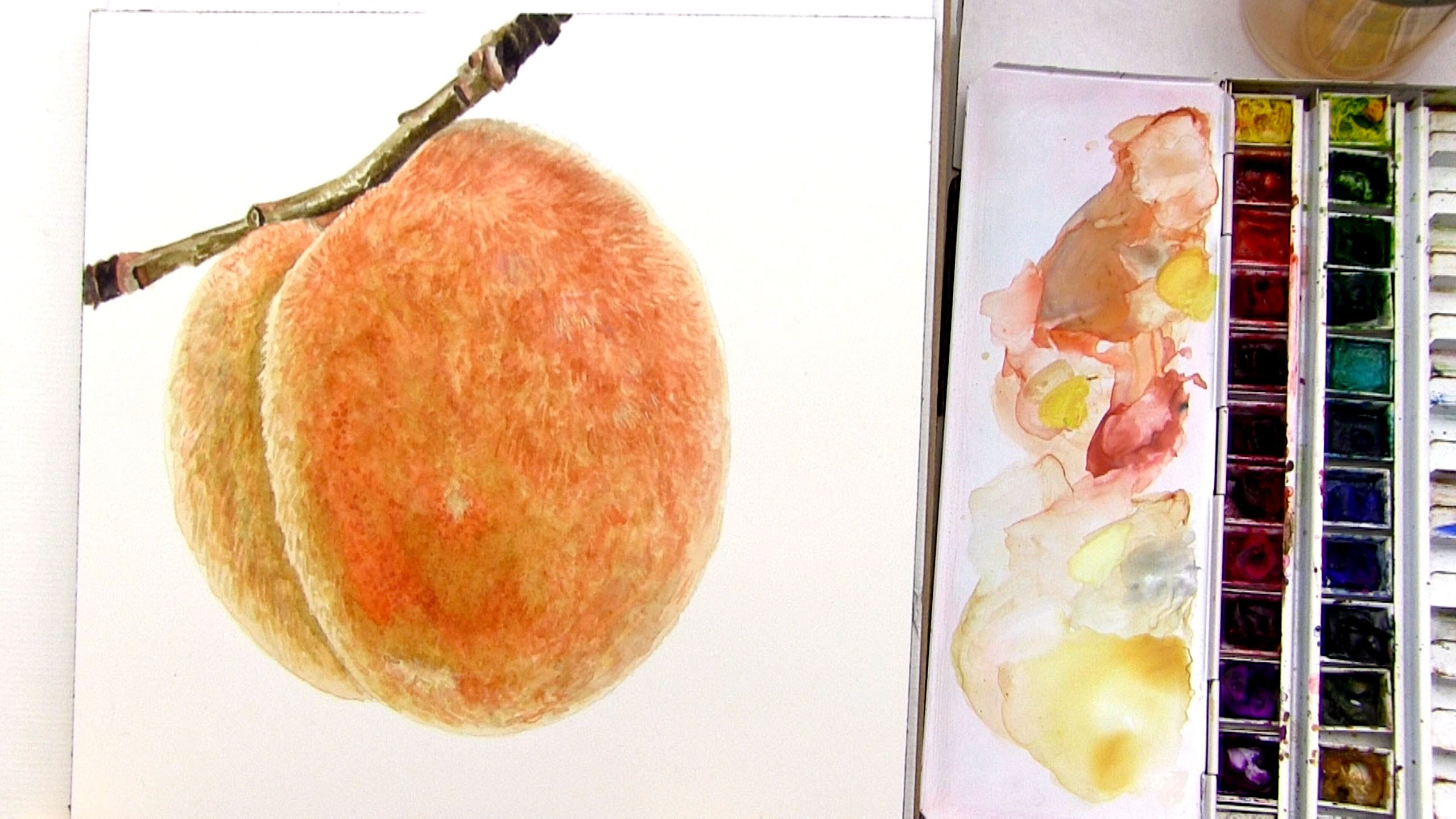 2560x1440 How To Paint A Detailed Realistic Branch In Watercolor