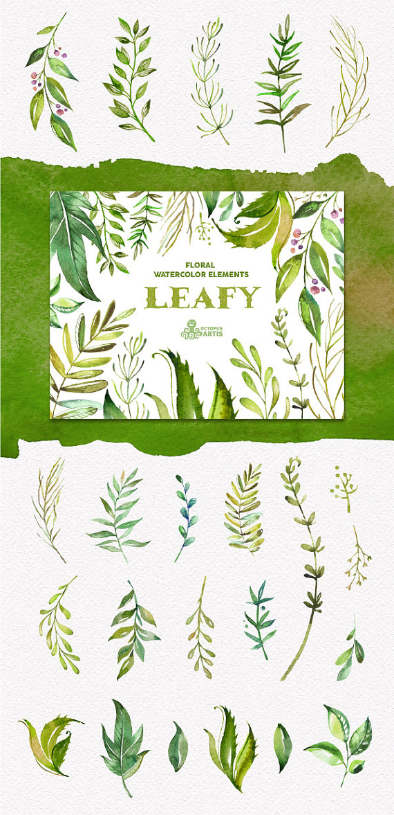 570x1177 Leafy. Floral Elements. Watercolor Branches, Leaves, Template