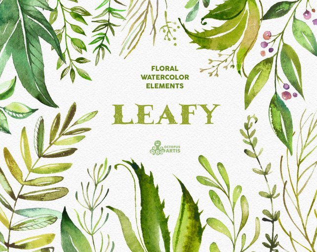 642x510 Leafy. Floral Elements. Watercolor Branches Leaves Template Etsy