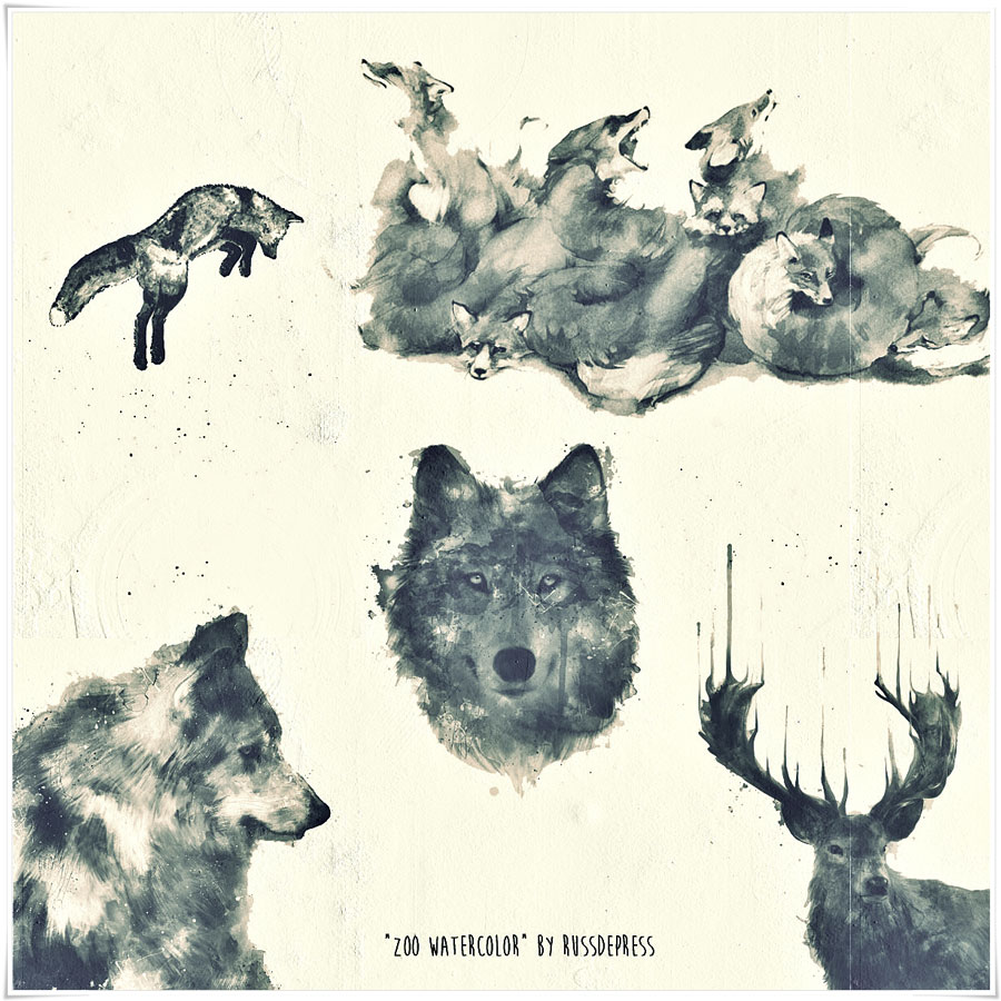 900x900 Watercolor Animals Ps Brushes