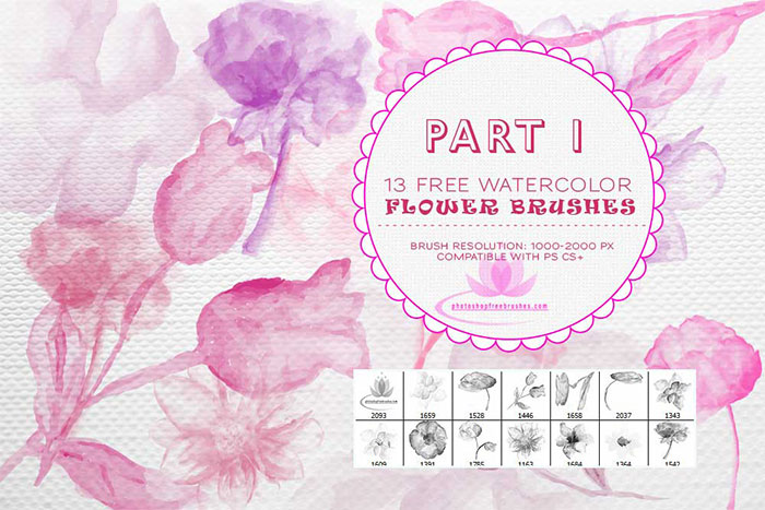 700x467 Watercolor Flower Ps Brushes Photoshop Free Brushes