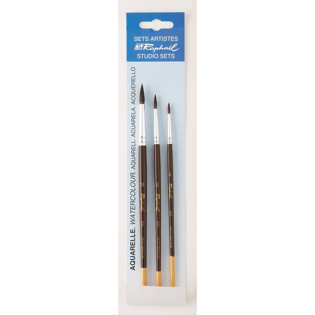 1024x1024 Pre Order Raphael Watercolor Brush Set