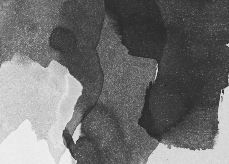 750x538 25 Watercolor And Ink Photoshop Brushes No.3