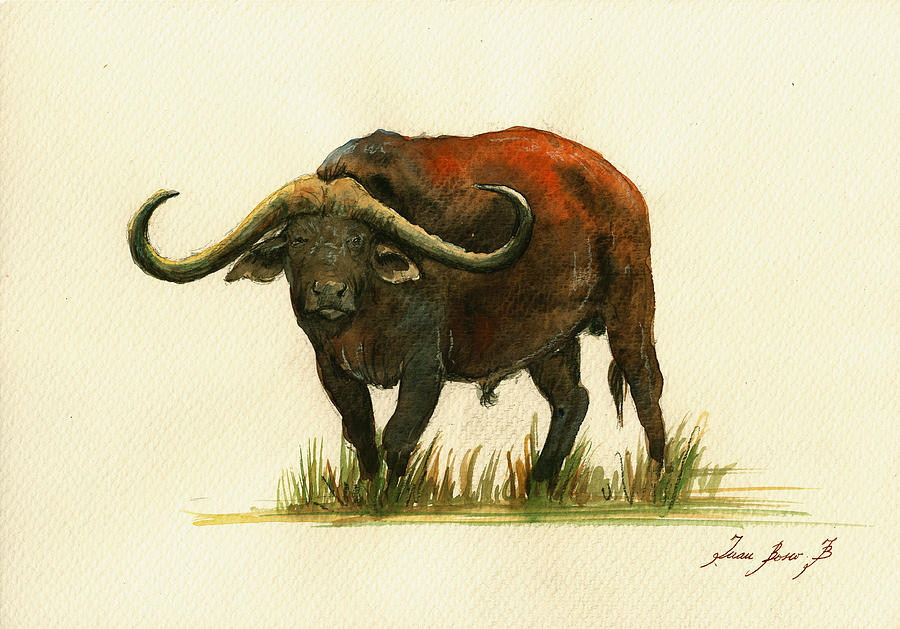 900x629 African Buffalo Watercolor Painting Painting By Juan Bosco