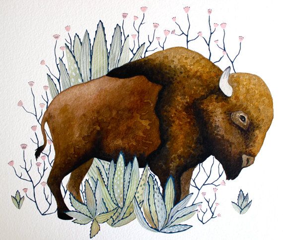 570x485 Watercolor Buffalo Painting Bison Art Giclee Print By Riverluna