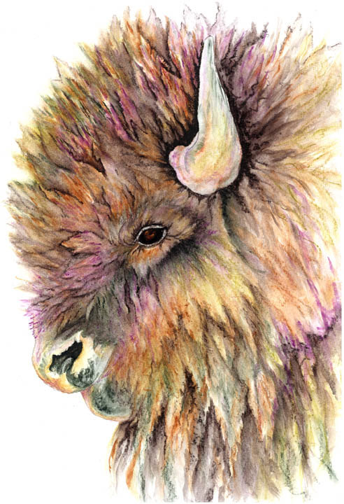 492x720 Watercolor Painting Returning Buffalo Animals