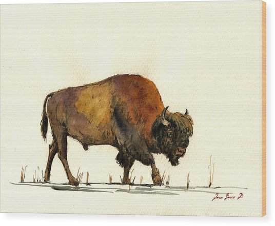 Watercolor Buffalo at GetDrawings | Free download