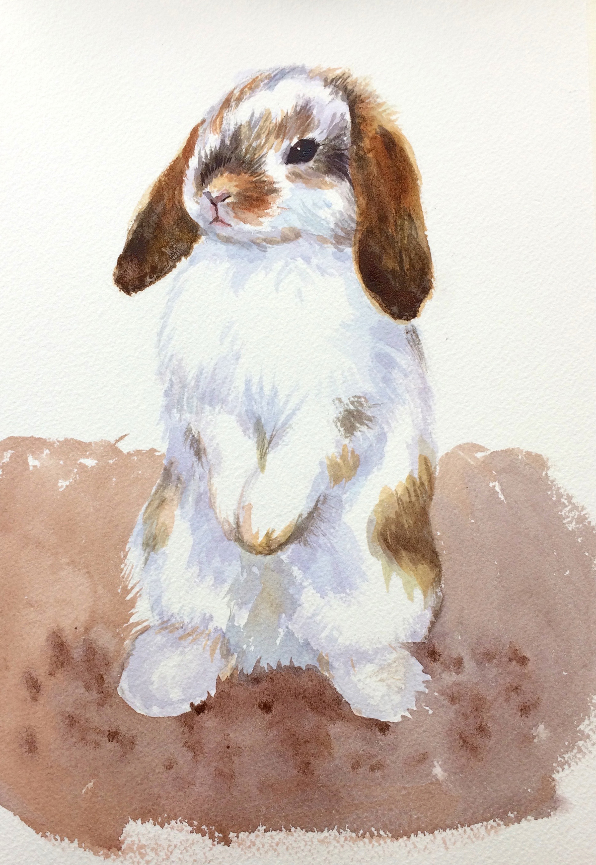 1200x1740 Painting Ideas Bunny Rabbit Made Easy, Visual Step By Step