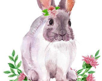 340x270 Watercolor Bunny Etsy