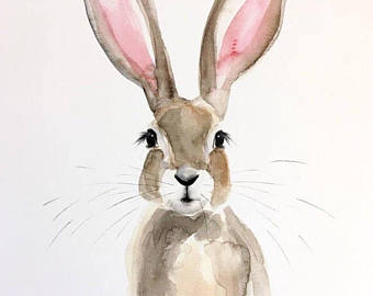 340x270 Bunny Watercolor Etsy