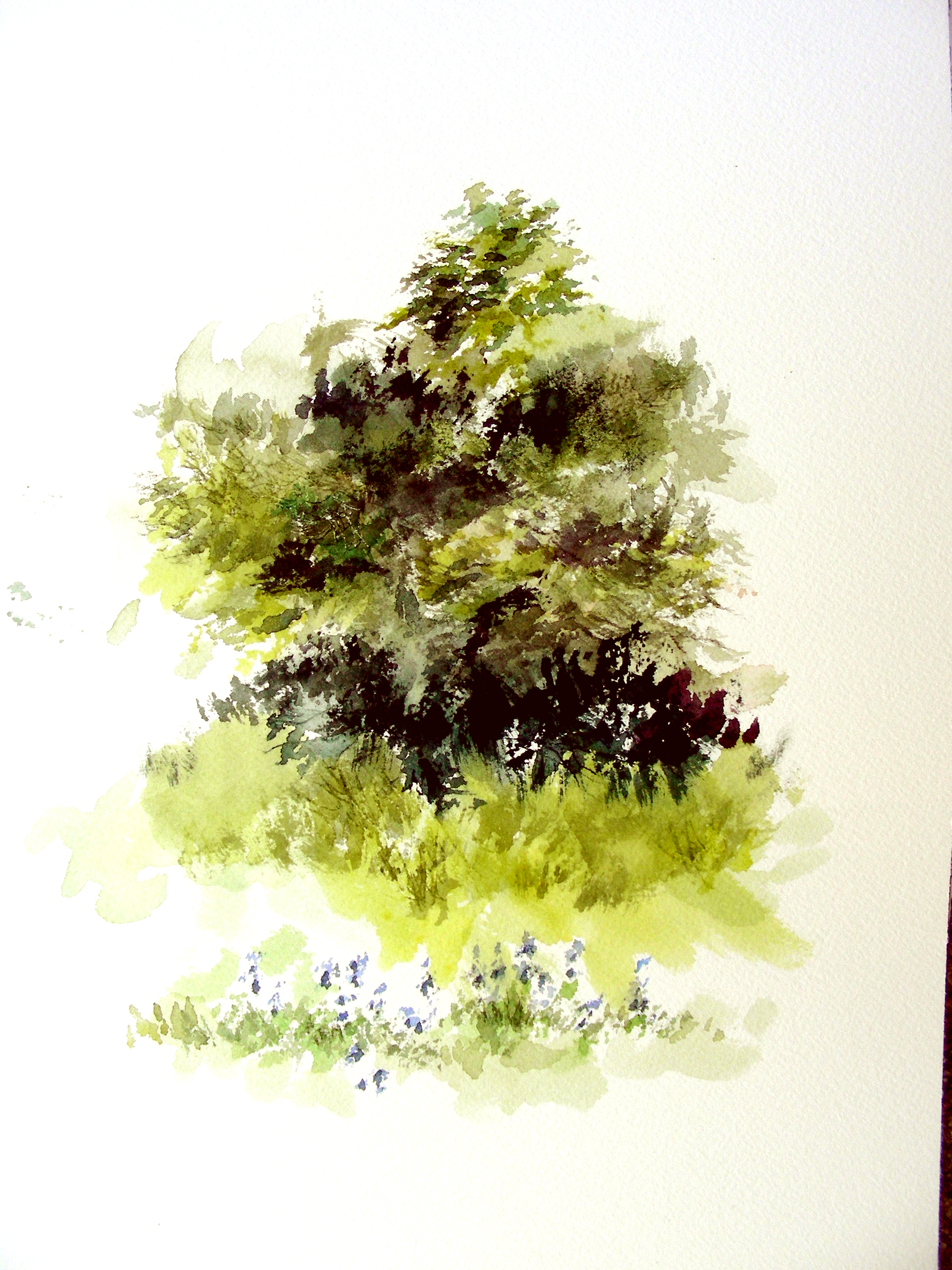 3200x4267 Painting Bushes In Watercolor Painting Bushes In Watercolor Drawn