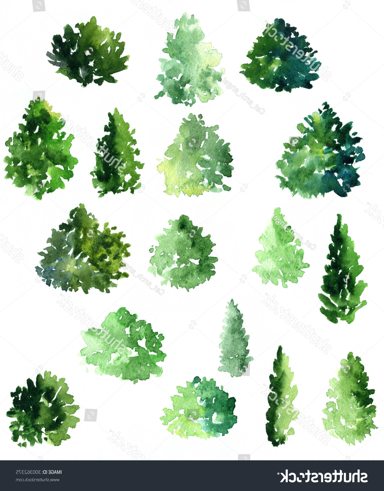 1253x1600 Painting Bushes In Watercolor Painting Bushes In Watercolor Set