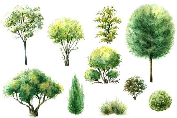 600x400 Watercolor Trees And Bushes