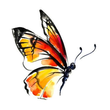 Watercolor Butterfly
