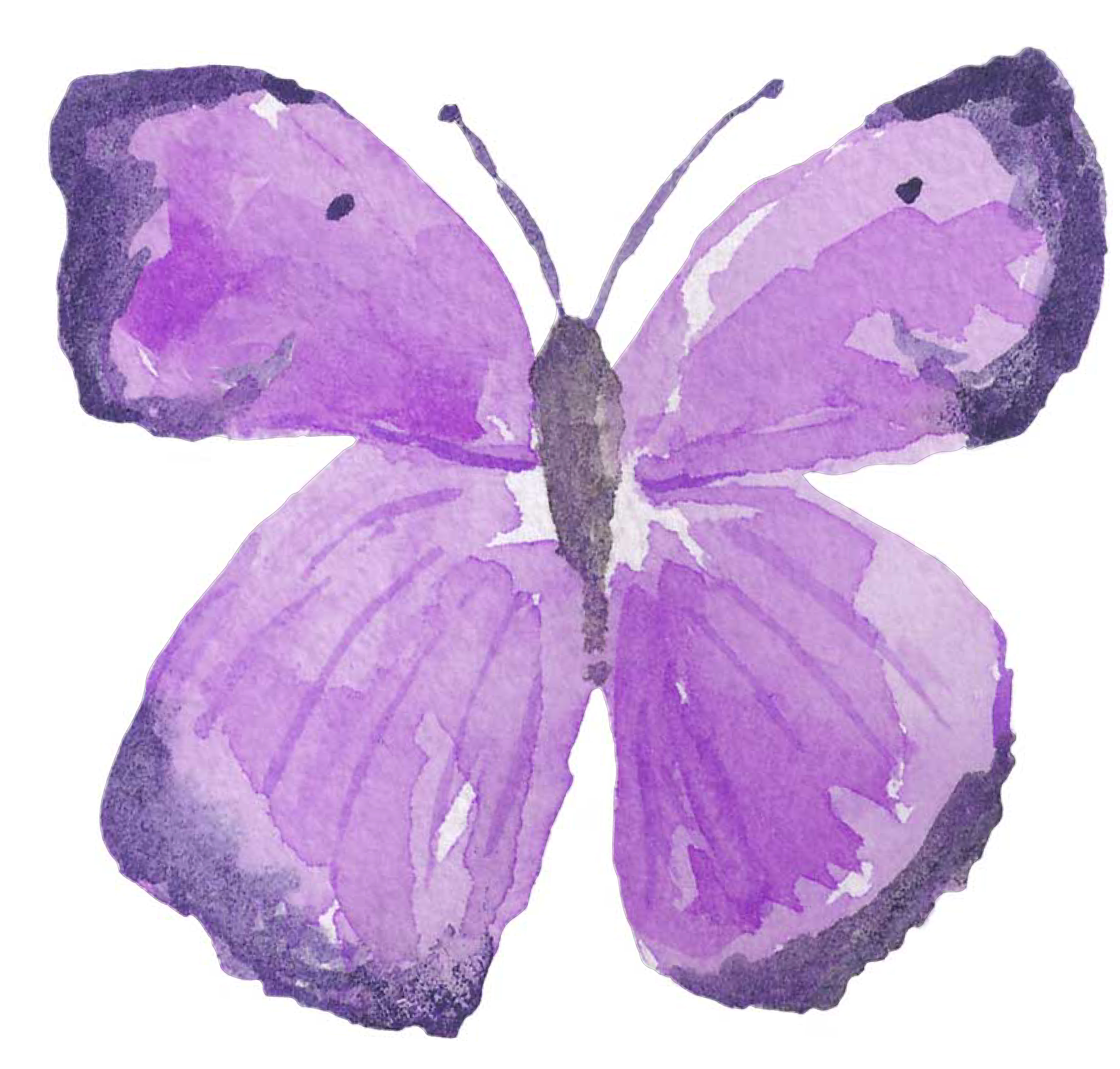 The best free Butterfly watercolor images. Download from 462 free ...