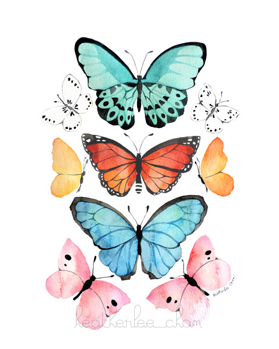 570x712 Butterfly Watercolor