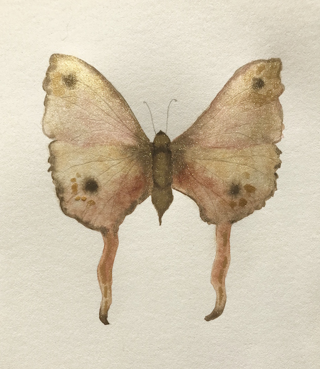 650x751 How To Paint A Watercolor Butterfly Step By Step