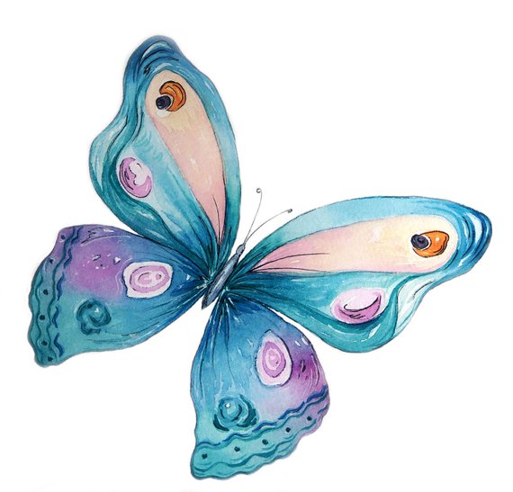 570x547 The Blue Butterfly Watercolor Clip Art Watercolor Butterfly Etsy
