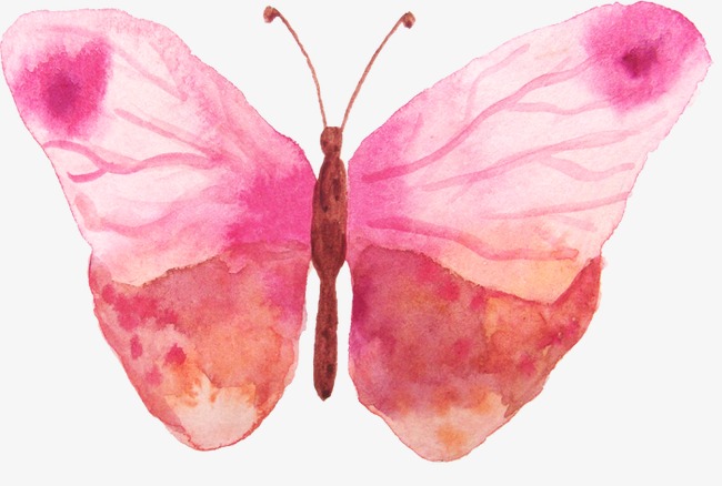 650x438 Watercolor Butterfly, Watercolor Clipart, Butterfly Clipart, Small