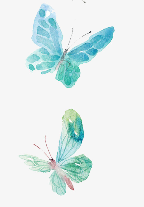 485x697 Watercolor Butterfly, Watercolor Clipart, Butterfly Clipart
