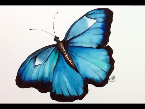 480x360 Watercolor Butterfly Real Time Painting Demonstration
