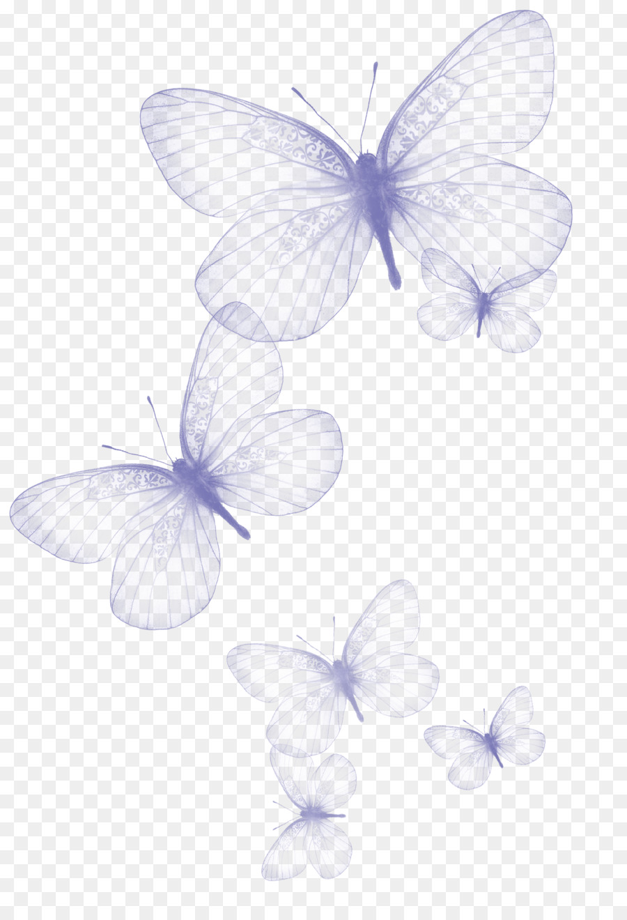 900x1320 Butterfly Desktop Wallpaper Greta Oto Clip Art