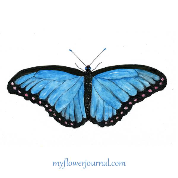 600x600 Free Butterfly Printable And Watercolor Tutorial