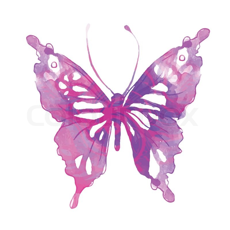 800x800 Amazing Watercolor Butterfly. Vector Art Isolated On White Stock