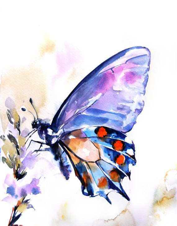 570x726 Painting Butterflies New Butterfly Watercolor Print Watercolor